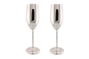 Stainless Steel Sleek Champagne Glass Set of 2