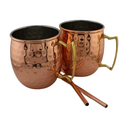 Stainless Steel Moscow Mule Mugs Set of 2 With Metal Straw