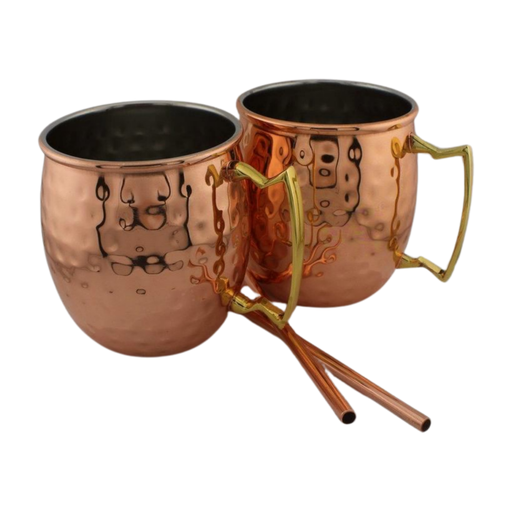 [DCBW_001] Stainless Steel Moscow Mule Mugs Set of 2 With Metal Straw
